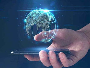 蘭州軟件開發成功之道 因地制宜的技術實踐與創新突破