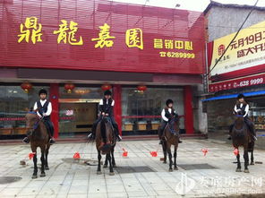 歡樂五一，來鼎龍嘉園免費(fèi)騎馬玩?。埬緲I(yè)邀您共度佳節(jié)
