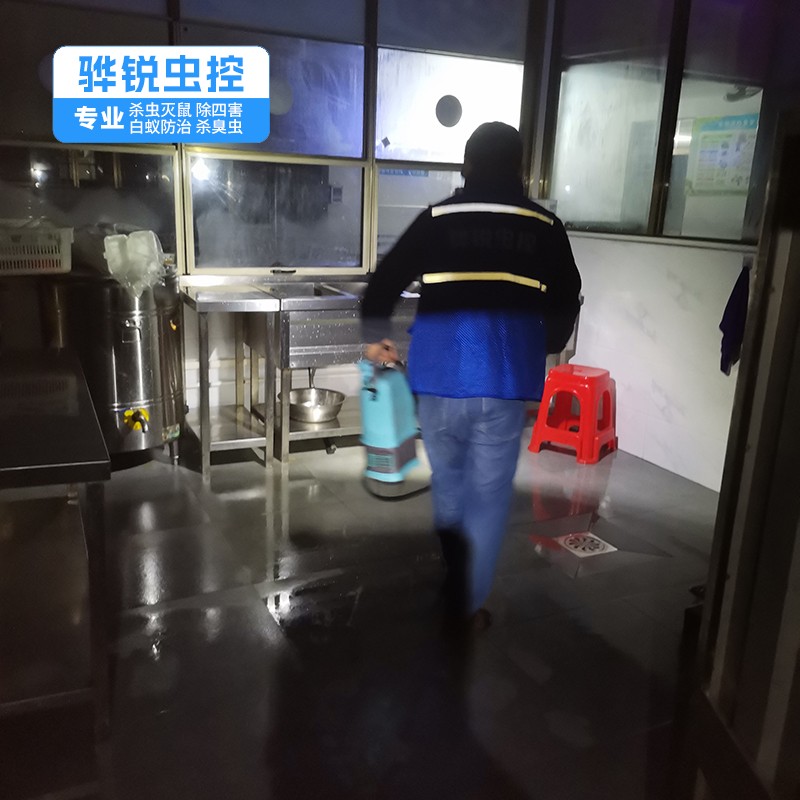 全方位守護企業安全 專業白蟻防治與工廠滅鼠除蟑螂綜合服務